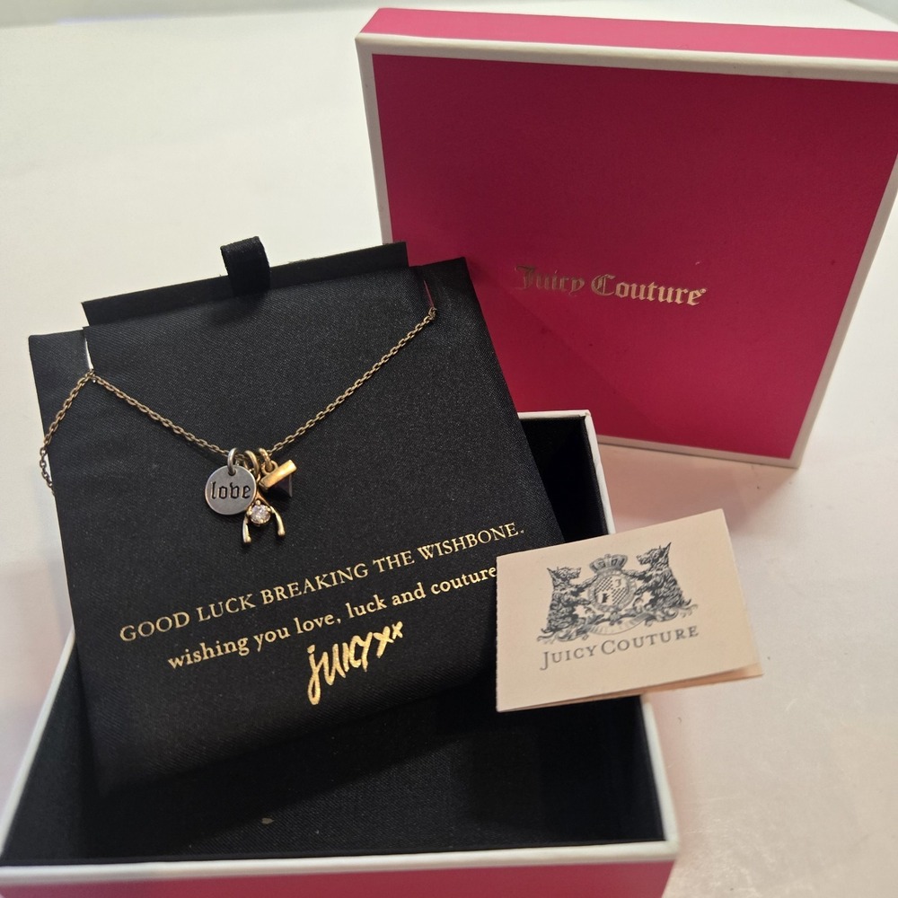NIB Juicy Couture Wishbone Love Luck Charm Necklace New In Box 18 Inch
